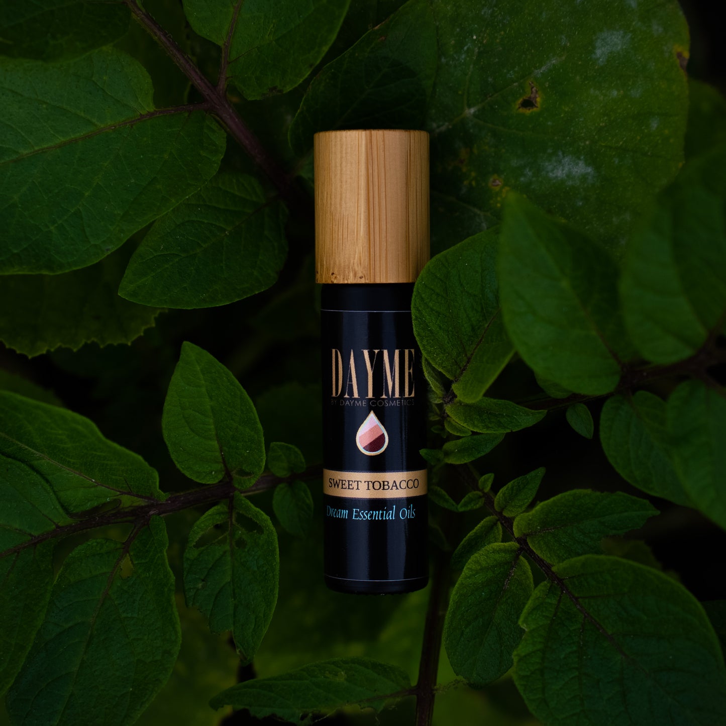 Essential Oil / Cologne - Sweet Tobacco Vanilla